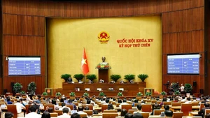 通过国会关于降低增值税税率的决议。
