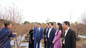 出席“日新桃花—红河春色”活动开幕式的代表们欣赏日新桃花种植村艺人制作的艺术桃花作品。