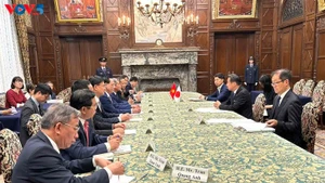 越南国会副主席陈光方与日本众议院议长额贺福志郎会谈场景。（图片来源：越南之声）