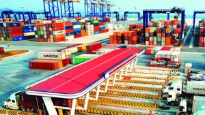 2026年农历新年伊始，海防国际集装箱港的各项业务繁忙有序。（春长 摄）