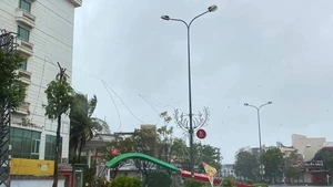 附图。