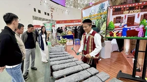 参观者在同奈省旅游展位欣赏石琴演奏。