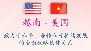 致力于和平、合作和可持续发展的越南—美国全面战略伙伴关系【图表新闻】