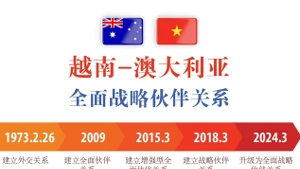 越南-澳大利亚全面战略伙伴关系【图表新闻】