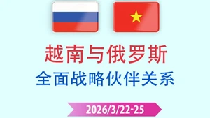 越俄全面战略伙伴关系【图表新闻】