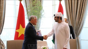 越南政府常务副总理阮和平与阿联酋副总理兼财政部长谢赫·哈姆丹·本·拉希德·阿勒马克图姆举行会谈。（图片来源：越通社）
