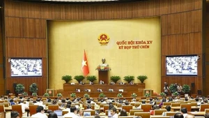 国会继续讨论关于2024年经济社会发展计划和国家预算执行情况的补充评估报告。