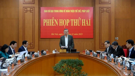 苏林总书记主持会议。