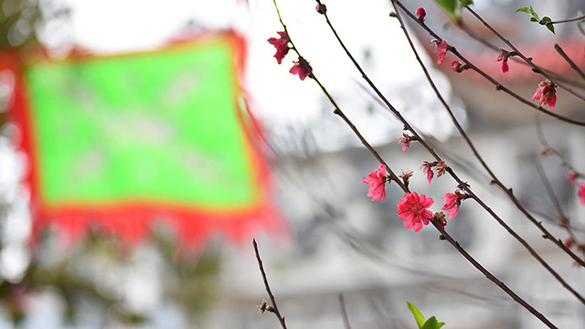 河内人正月十五出去烧香拜佛 祈求平安（组图） ảnh 11