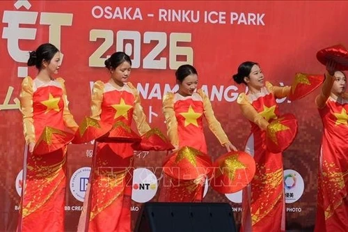 2026年日本大阪“越南春节”活动热闹举行 庆祝越共十四大圆满成功。（图片来源：越通社）
