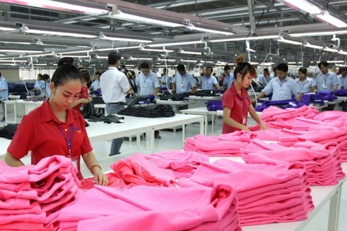 附图。（图片来源：vneconomy.vn）