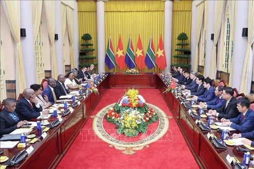 南非总统拉马福萨与越南国家主席梁强举行会谈。(图片来源:越通社)