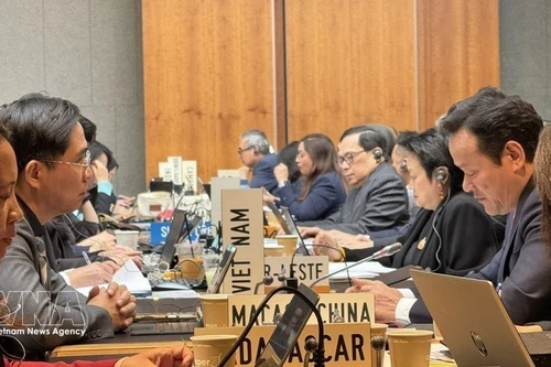 越南出席世贸组织2026年度第一次例会。（图片来源：越通社）