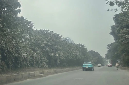 空气污染给河内民众生活带来严重影响。