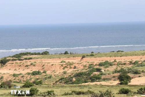 宁顺核电站一号项目选址现场。（图片来源：越通社）