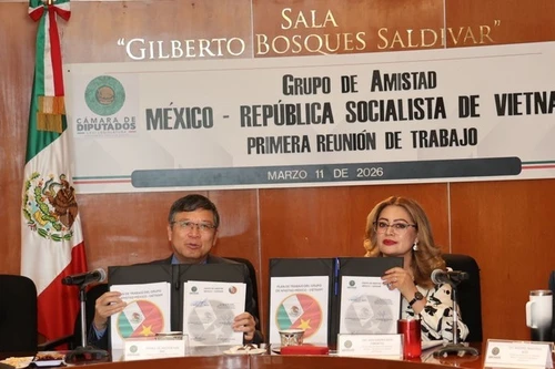 越南与墨西哥议会合作议程签字仪式。（图片来源：越通社）