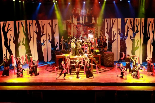 附图：第80号决议：文化引领并塑造民族的可持续发展。