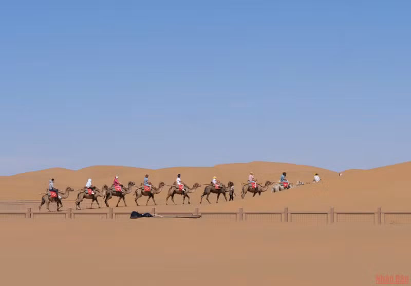 中国腾格里沙漠 ảnh 5