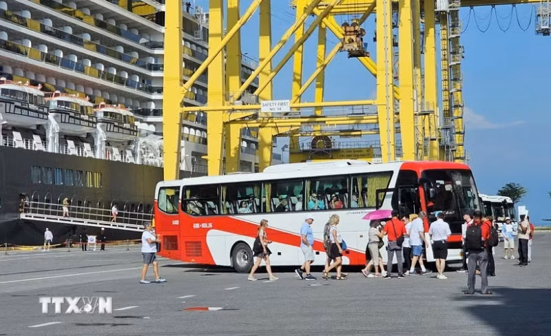 岘港市迎来近2000名国际邮轮游客。