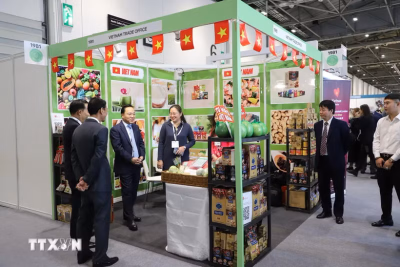 越南参加英国最具规模食品饮料展。（图片来源：越通社）