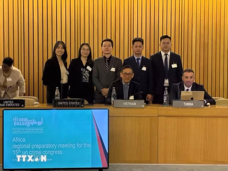 参加筹备会的越南代表团。（图片来源：越通社）
