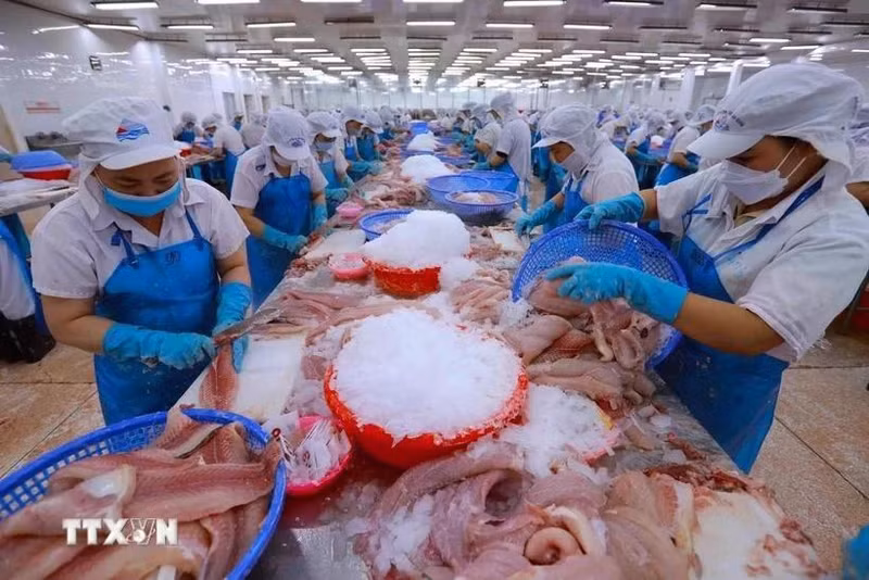 水产品出口加工。（图片来源：越通社）