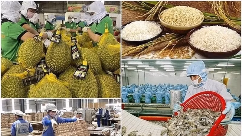由于欧盟市场要求极其严格，不少企业对此心存顾虑。