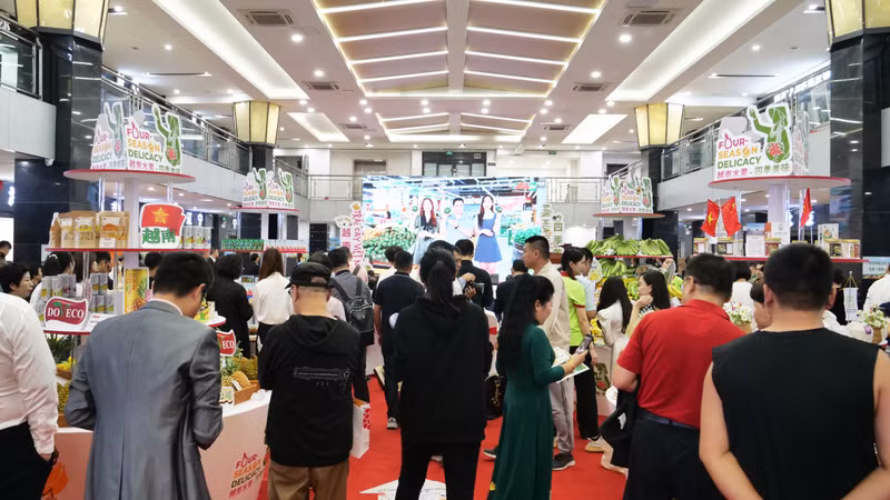 广大北京居民和旅居北京越南人前来参观越南水果节。