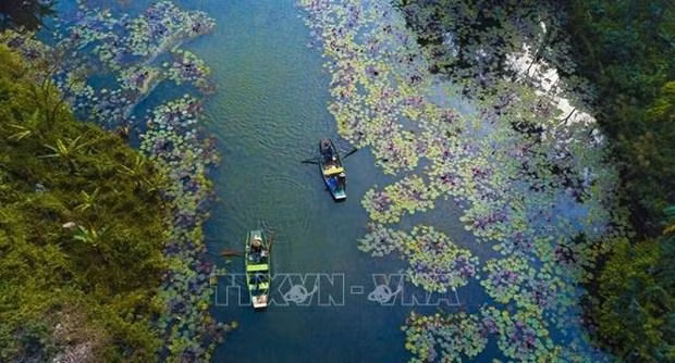 宁平省美丽山水自然风景。
