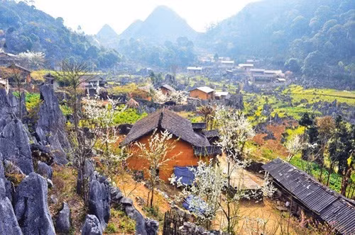 132caonguyenda.jpg
