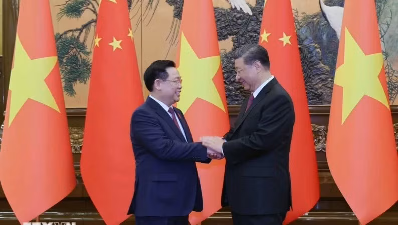 越南国会主席王廷惠会见中共中央总书记、中国国家主席习近平。图片来源：越通社