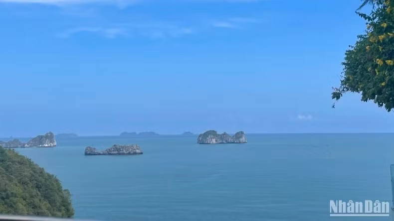共同守护海洋生态系统。