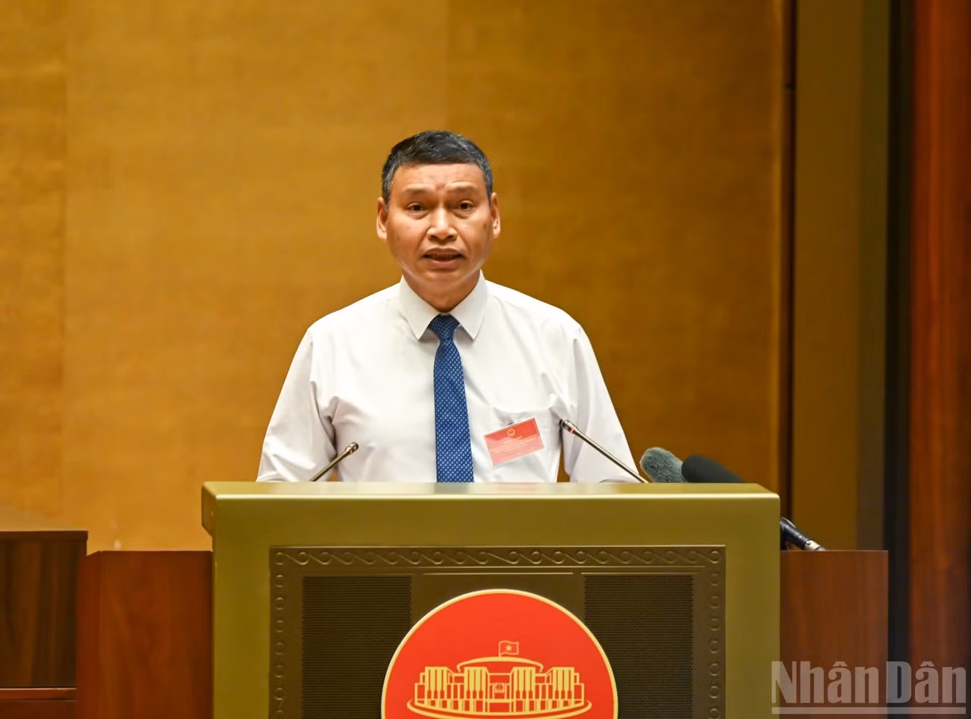 岘港市人民委员会常务副主席胡奇明在会上作出专题报告。