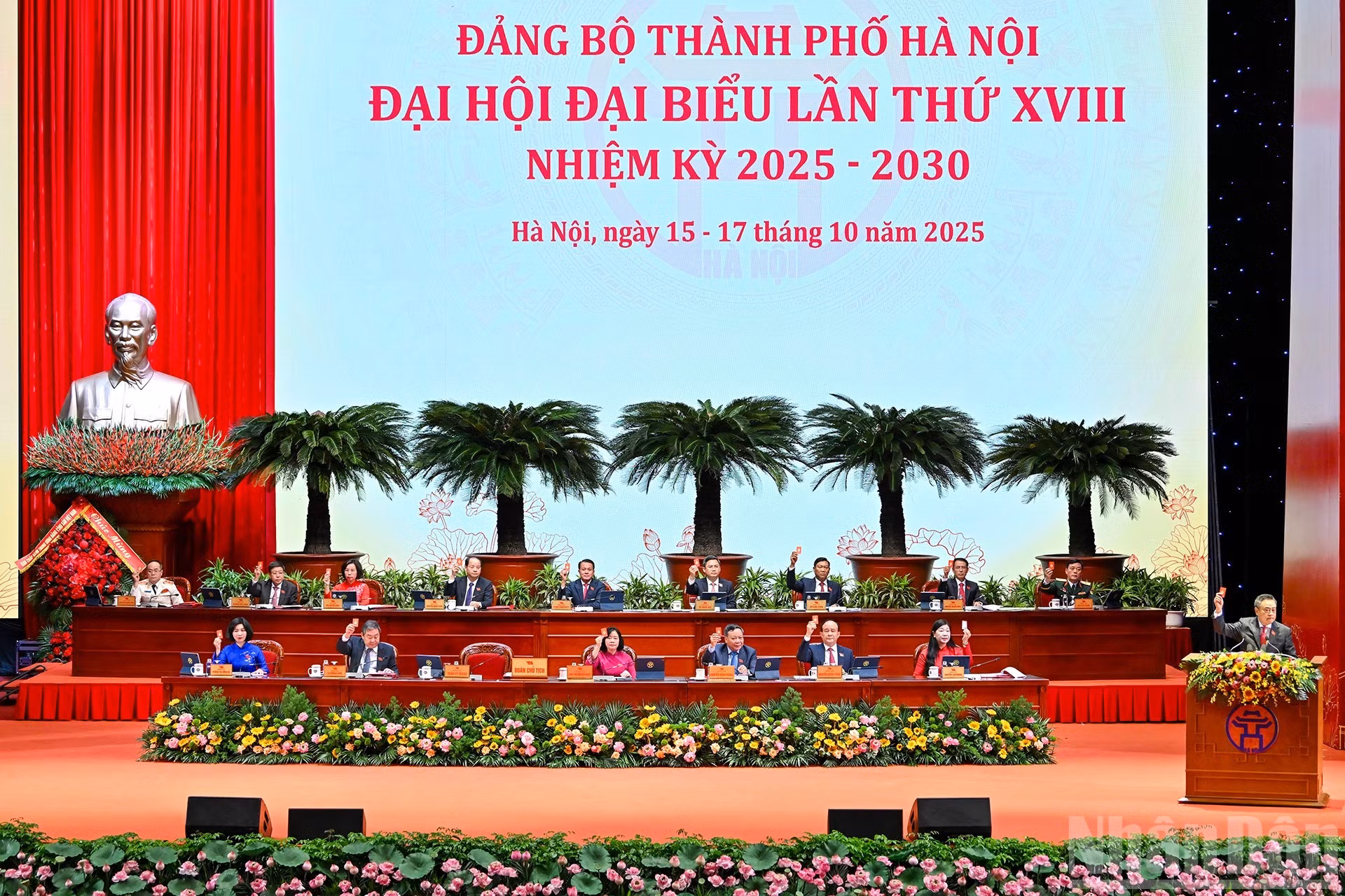 anh-11-2713.jpg