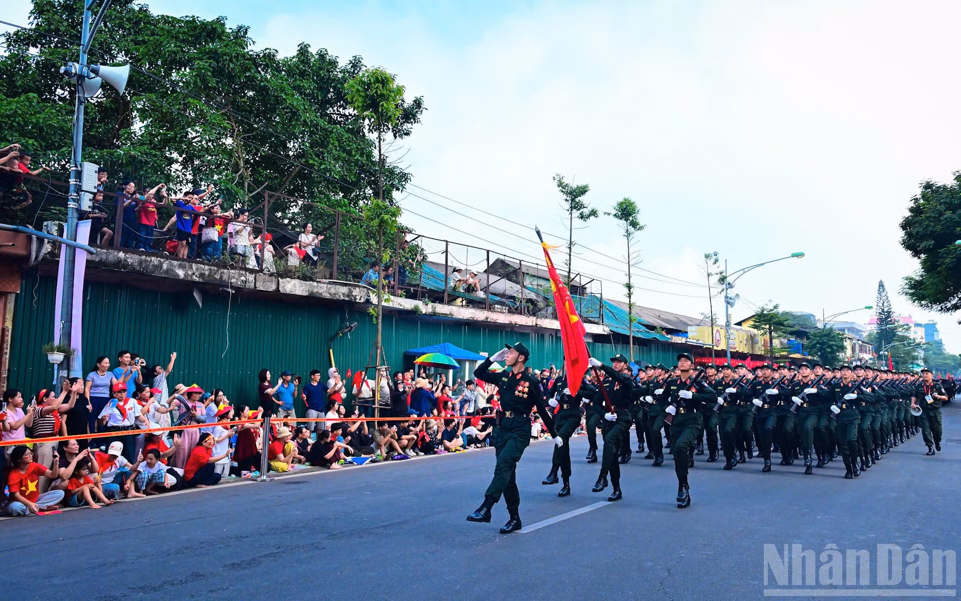 anh-8-484.jpg