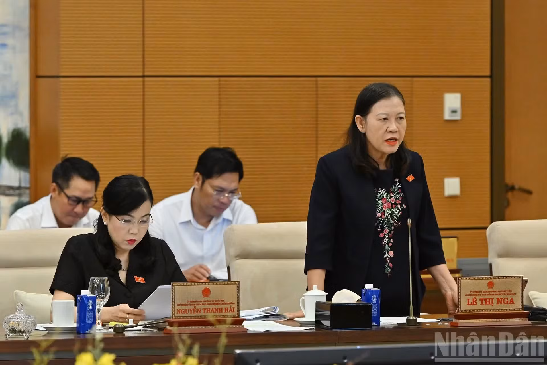 国会民愿与监督委员会主任黎氏娥在会上发表讲话。
