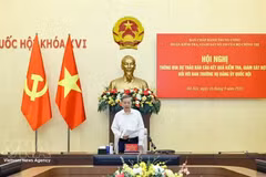 越共中央总书记、国家主席苏林发表讲话。（图片来源：越通社）