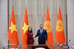 越南国家副主席武氏映春会见吉尔吉斯斯坦总统萨德尔·扎帕罗夫。（图片来源：越通社）