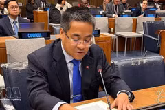 越南常驻联合国代表团副团长阮海流公使代表东盟在联合国大会第四委员会就原子辐射影响发言。（图片来源：越通社）