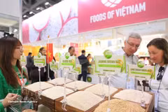 参展的越南商品。（图片来源：越通社）