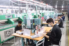 工人在工业流水线上执行各道生产工序，展现了企业日益提升的生产能力。（图片来源：越通社）