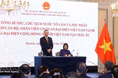 越共中央总书记、国家主席苏林会见旅居欧洲越南人社群代表。（图片来源：越通社）