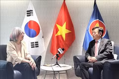 越南驻韩国大使武胡接受越通社记者采访。（图片来源：越通社）