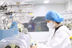 外国直接投资企业群体期待，不断深化的制度革新将营造一个公开透明、持续稳定且更具竞争优势的法律环境。（图片来源： 越通社）