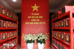 500昼夜战役展开3个月后在黎氏莲公园共归集664具烈士遗骸。（图片来源：越通社）