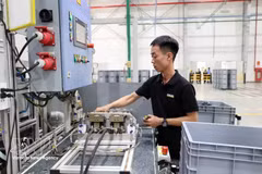 附图。（图片来源：越通社）