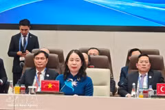 越南国家副主席武氏映春出席上海合作组织扩大会议。（图片来源：越通社）