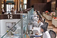 附图。（图片来源：越通社）