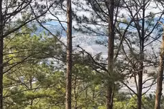 附图。（图片来源：越通社）