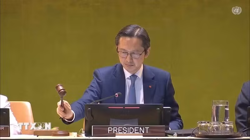 越南常驻联合国代表团团长杜雄越大使宣布会议闭幕。（图片来源：越通社）
